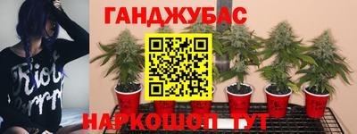 сатива Пенза