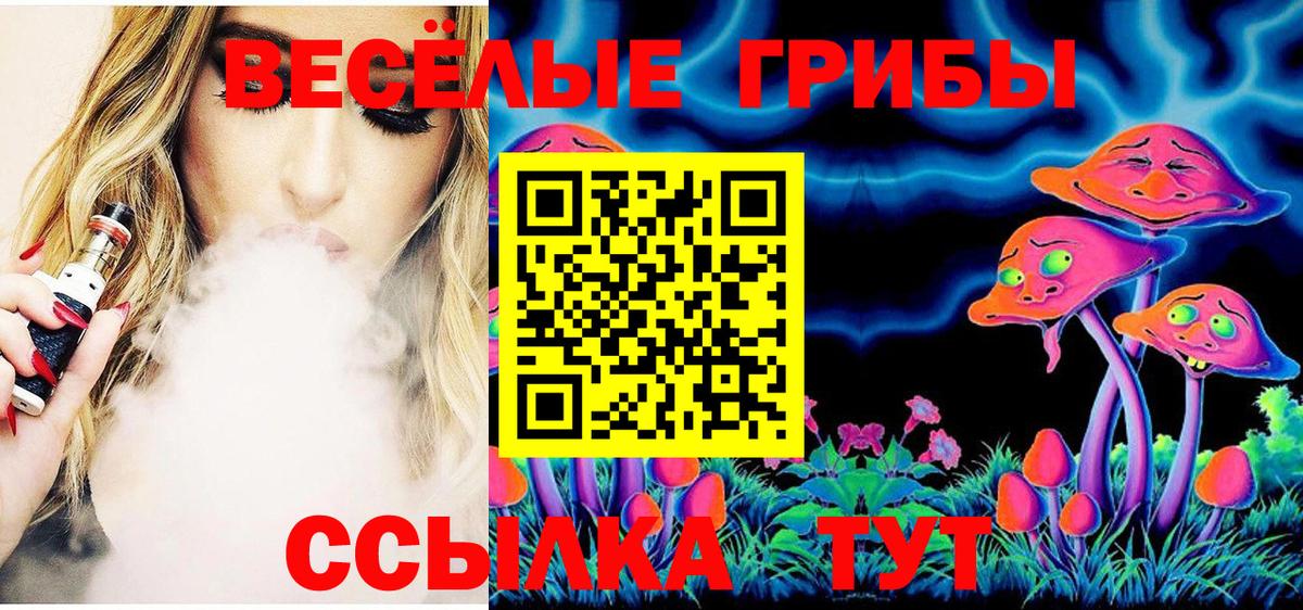Пушкино  закладки  Вход с VPN  Псилоцибиновые грибы Psilocybine cubensis 
