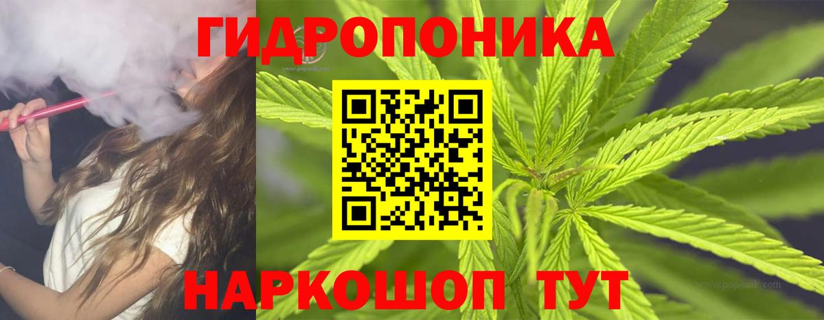 Пушкино  Конопля Amnesia  Вход с VPN  МАРИХУАНА Amnesia 